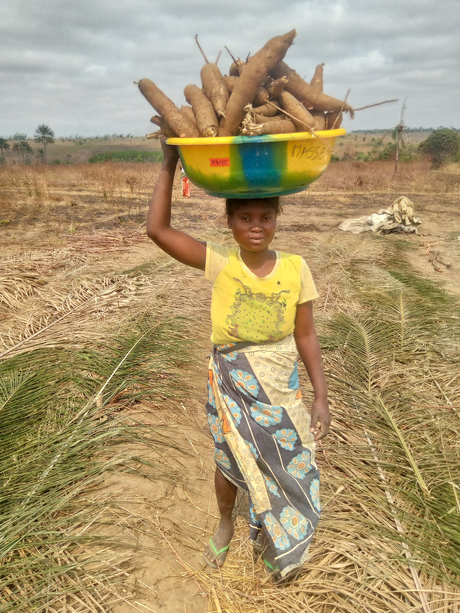 Système d'irrigation